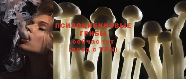 трава Осташков