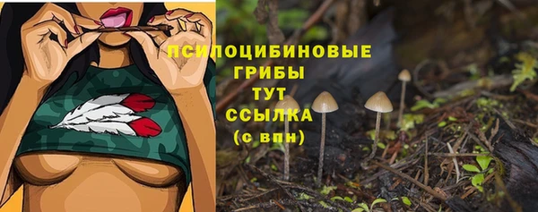 не бодяженный Абдулино