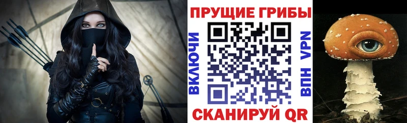 купить   Чегем  Псилоцибиновые грибы прущие грибы 